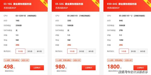 小鳥云裸金屬物理服務(wù)器0元拼團(tuán)活動 限量搶購，開啟高效終端租賃新體驗